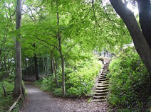 城山公園
