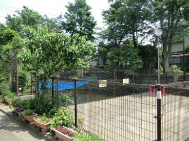 出石児童遊園の画像1