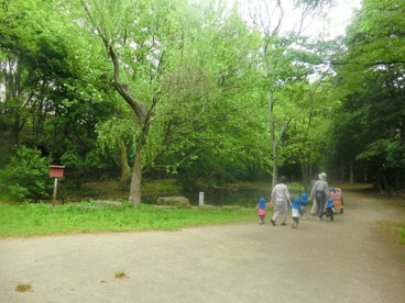 大井ふ頭緑道公園の画像1