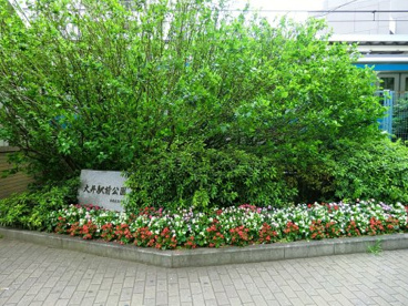 大井駅前公園の画像1