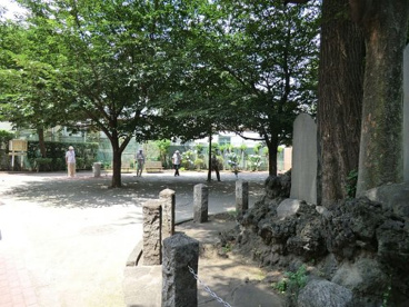 大井二丁目特定児童遊園の画像1