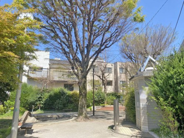 大原公園の画像1