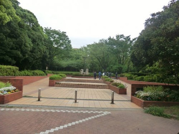 八潮公園の画像1