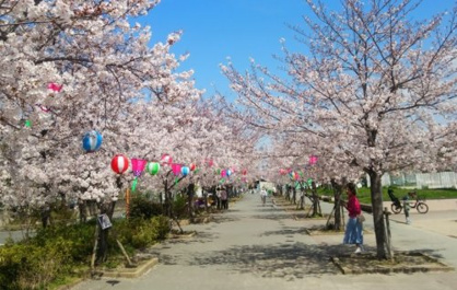 東諸福公園の画像1
