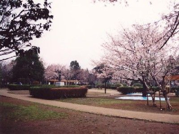御滝公園の画像1