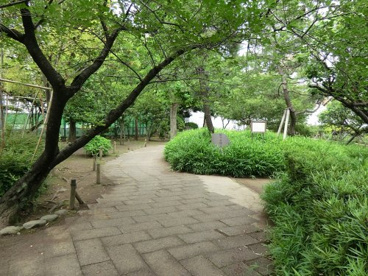 聖蹟蒲田梅屋敷公園の画像1