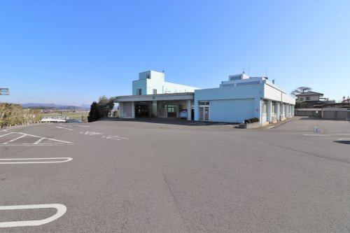 の画像