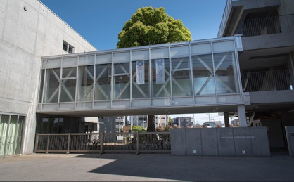 世田谷区立松沢小学校の画像1