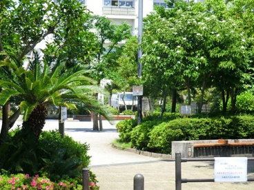 徳持ポニー公園の画像1