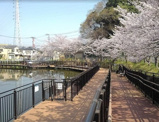 二ツ池公園