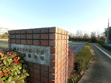 筑波大学附属小学校附属保谷田園教場の画像1