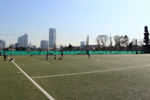 南台いちょう公園