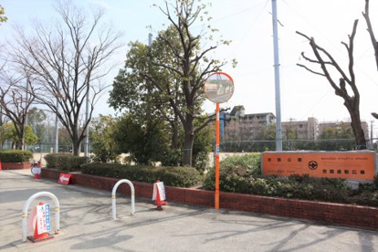 若園運動広場の画像1