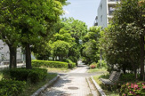 江尻川緑道