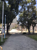 東今福公園