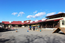 ひまわり保育園