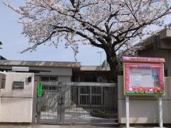 ときわ平保育園の画像1