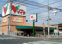 コモディイイダ 南鳩ヶ谷店