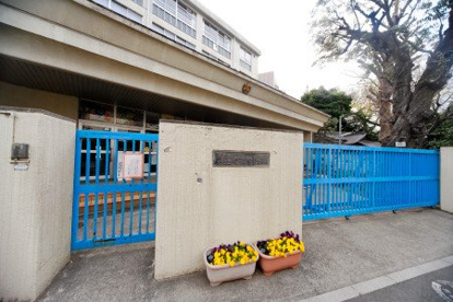 文京区立関口台町小学校の画像1