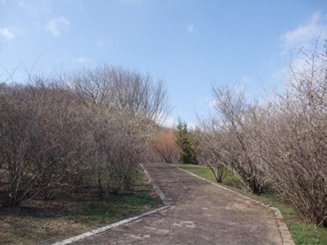 愛名緑地の画像1