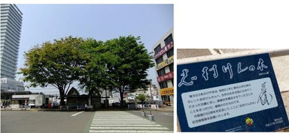 東村山市役所の画像2