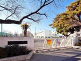 東村山市立八坂小学校