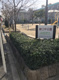 諸口中公園の画像
