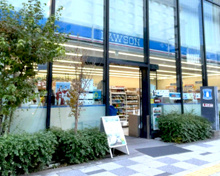 スーパー ローソン H溜池山王店