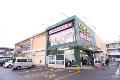 しまむら天神店情報ページ 調布 府中 三鷹の賃貸なら株式会社ハナインターナショナル