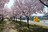 狭山池公園