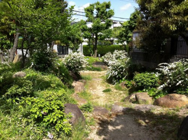 朝日ケ丘緑地の画像1