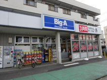 ビッグ・エー 吉川店