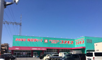 コスモス下郡店