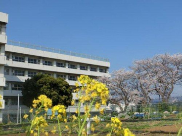 船橋市立大穴北小学校の画像1