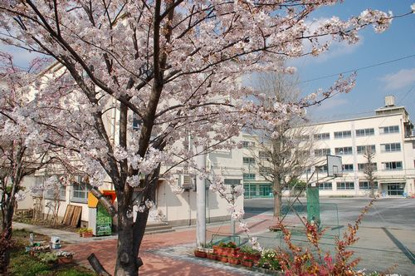 中野区立第二中学校の画像1