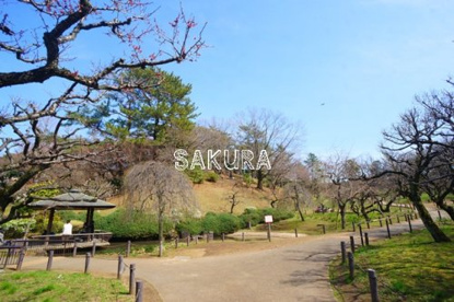 大倉山公園の画像1