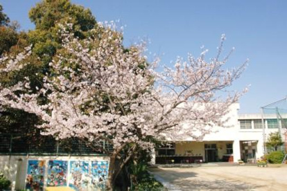 市立久宝寺幼稚園の画像2