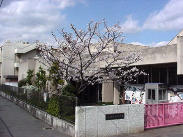 市立大正幼稚園の画像1