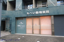 もへい動物病院