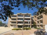 野洲小学校