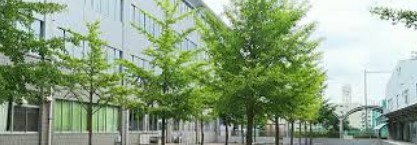 東京都立東高校情報ページ 東京都内の中古マンションなら株式会社もしも不動産