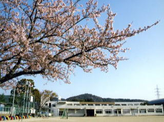 豊橋市立谷川小学校の画像1