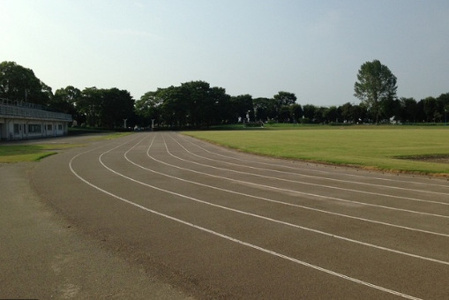 羽生中央公園の画像
