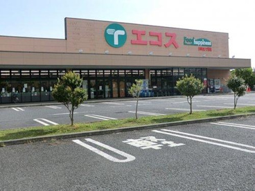 エコス TAIRAYA(たいらや) 拝島店の画像1