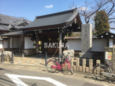 善教寺の画像1