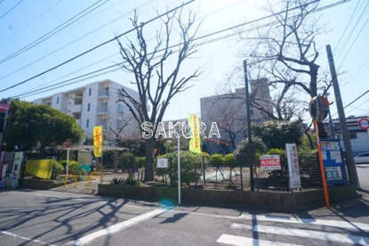 古川町さくら公園の画像1