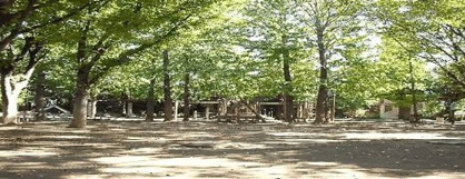 杉並区立西永福公園の画像1