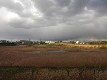 大柏川第一調節池緑地の画像2