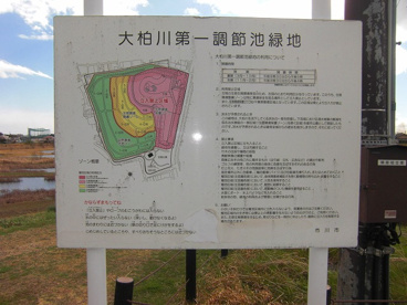 大柏川第一調節池緑地の画像3
