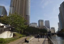 公園 五反田ふれあい水辺広場